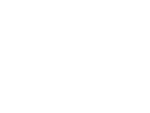 OneXplayer