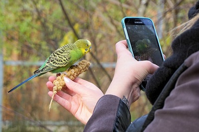 Heimliche Aufnahmen durch Kamera App